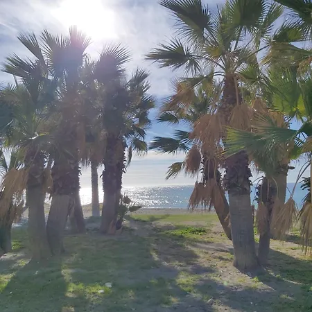 Apartamento Piso Centrico Con Piscina Y Cochera *